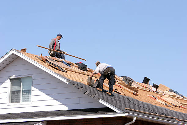 Best Hot Roofs  in Brightwood, VA